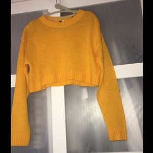 long sleeve cropped sweater